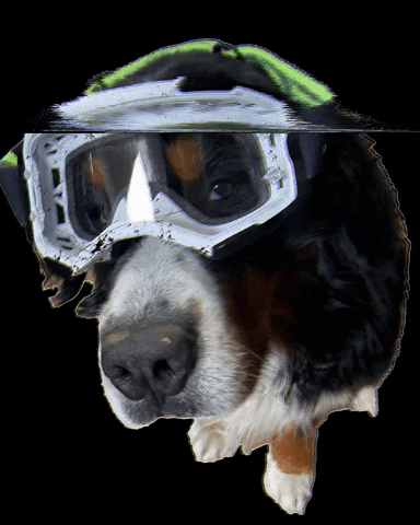 Cycle Sport Silkeborg GIF