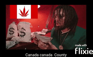 Money GIF