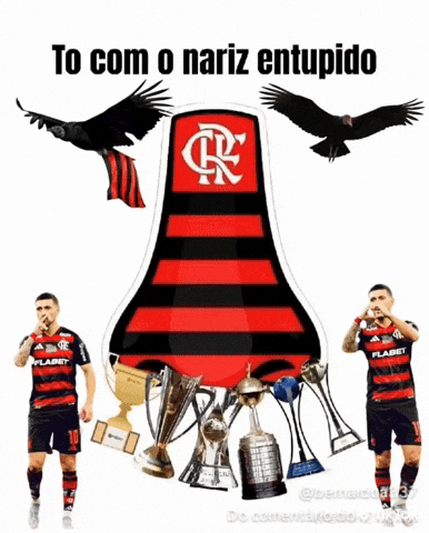 Libertadores Tetra GIF