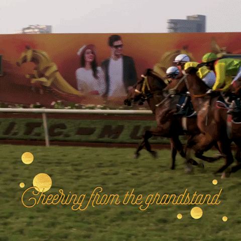 horse cheers GIF by KingfisherWorld