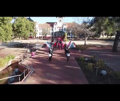 fail university of the free state GIF