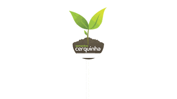 Placa Sticker by Sementes Cerquinha