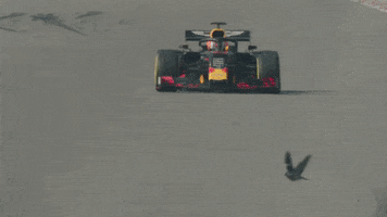 France F1 GIF by Oracle Red Bull Racing