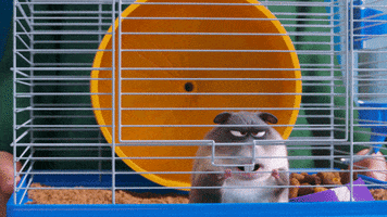 Hamster Vet GIF by The Secret Life Of Pets