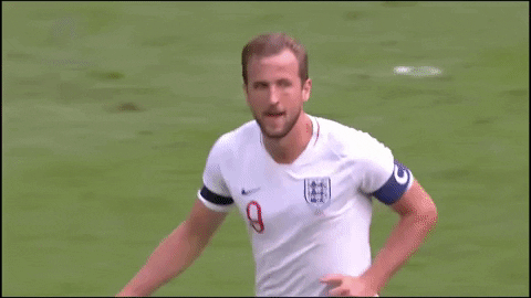 Harry Kane Football GIF by England - Find & Share on GIPHY