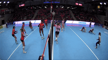 Spike Attacker GIF by NUCVolleyball