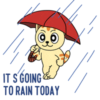 Kitten Rain  Happy gif, Animation, Animated gif