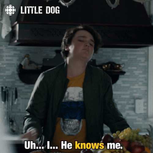 dog knows GIF by CBC