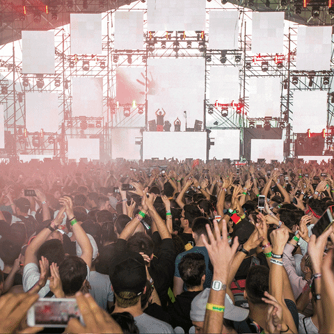 Nmf GIF by Nameless Festival