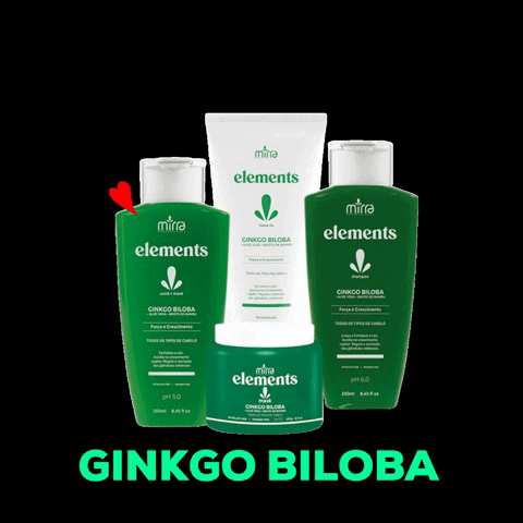 Ginkgo Biloba Elements GIF by maison