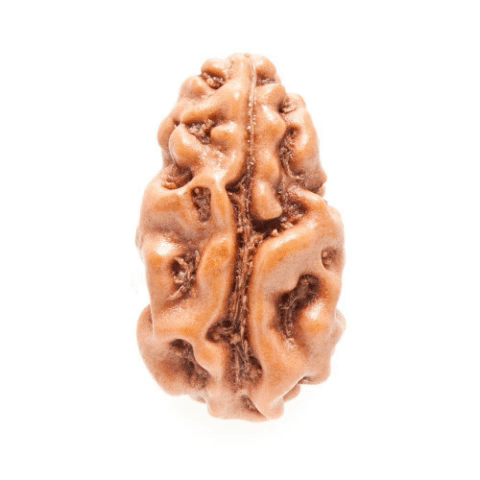 Rudraksha Beads GIF