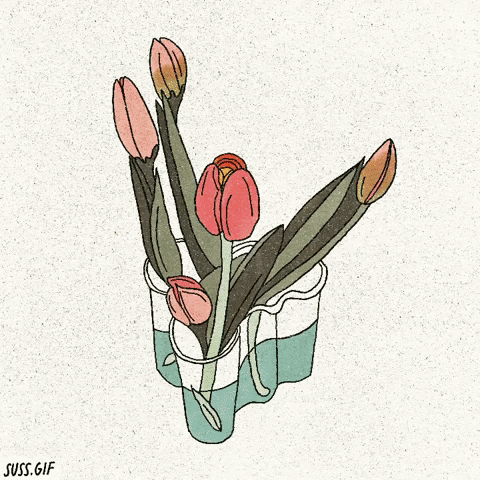 Morph Still Life GIF by Mollie Suss