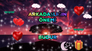 Arkadaşlik Özeldir GIF