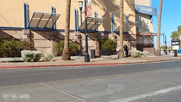 Ford Stationwagon GIF by Off The Jacks