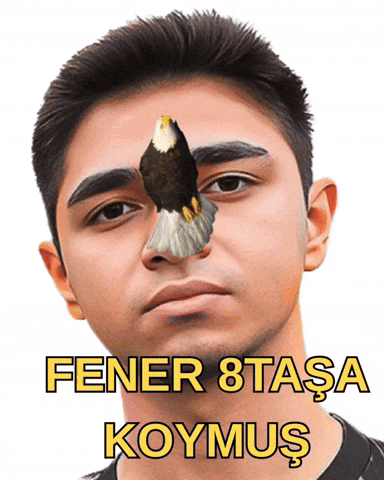 Galatasaray Gs GIF