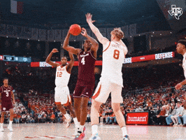 Bucky Ball Whoop GIF by Texas A&M Athletics