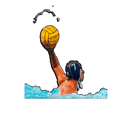 Player Wp Sticker by Bbosi Sportwear