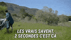 happy throw GIF by Decathlon