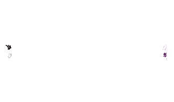 Zeitlosschoen Academy Sticker