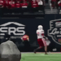 Utah Utes GIF