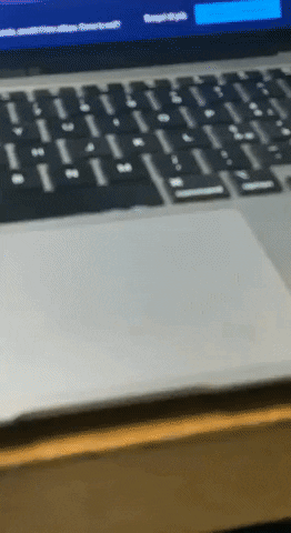 Dog Linda GIF by Six Socks Studio