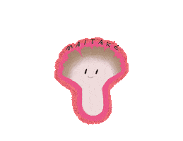 Shima Music Sticker
