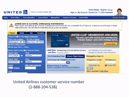 United Airline Phone Number GIF