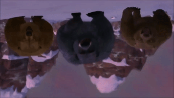 Alpha And Omega Kate GIF