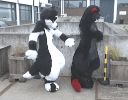 furrie i sit on you GIF by beeeky