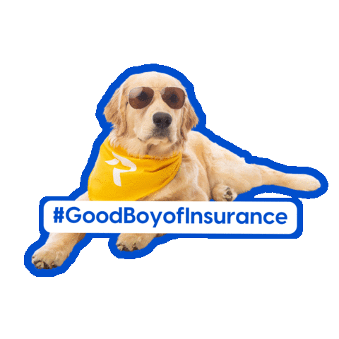 Happy Golden Retriever Sticker by RateRetriever