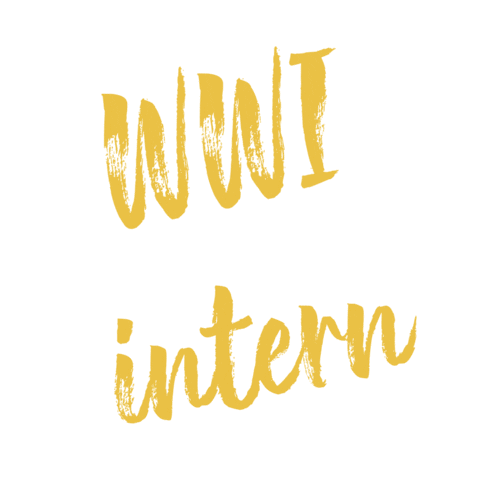 Worldwide Internships Sticker