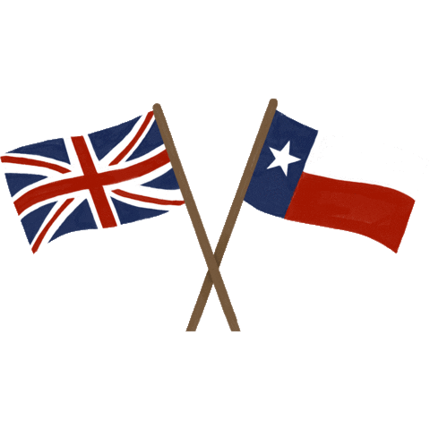 Texas Flag Houston Sticker by OKA