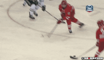 puck GIF by SB Nation