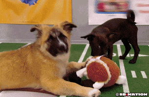 Puppy Bowl GIF by SB Nation