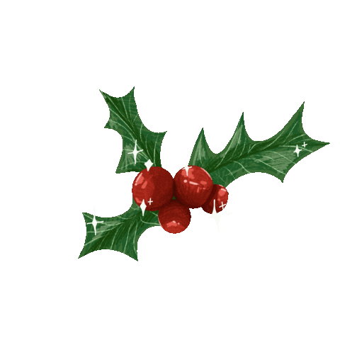 Christmas Decoration Winter Sticker by Artsy Ainhoa