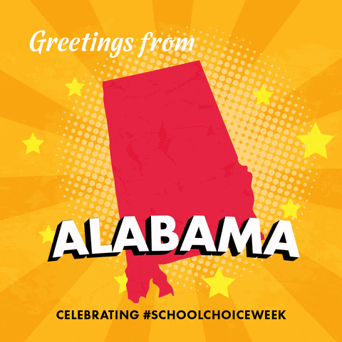 School Choice Education GIF by National School Choice Week