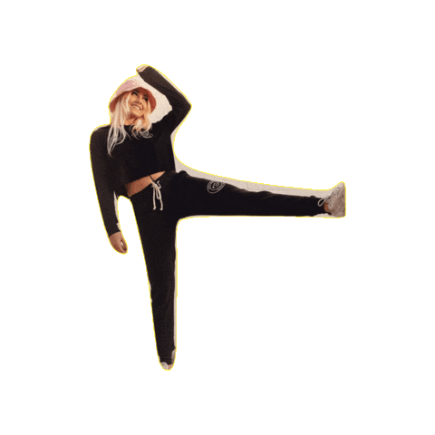 SB Trapeze Co. Sticker