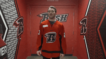 Oh No Facepalm GIF by Rapid City Rush