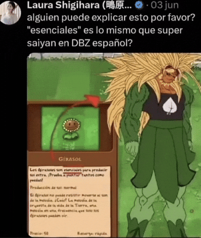 Girasol Esencia GIF