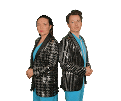 Blauwe Vinkjes Sticker