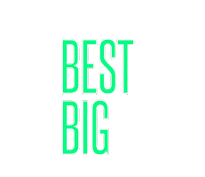 Lights Flashing Sticker by Big Brothers Big Sisters