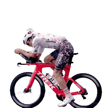 Triathlon Swimbikerun Sticker by Zoot Sports