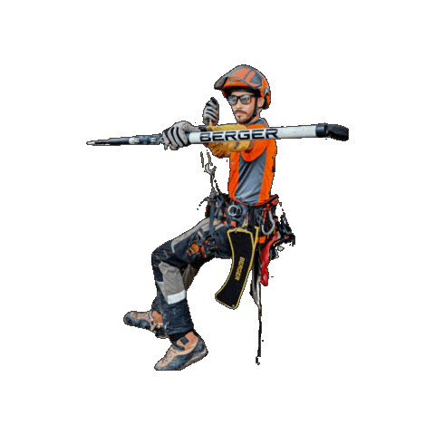 Carrereelgage Sticker by BERGERTools