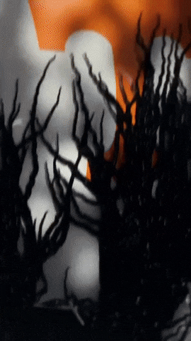 Football College GIF by Tennessee Athletics