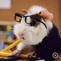 Looking Back To School GIF