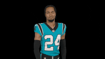 Come On Football GIF by Carolina Panthers