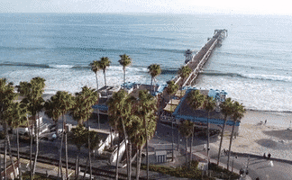 GIF by Zion Kids