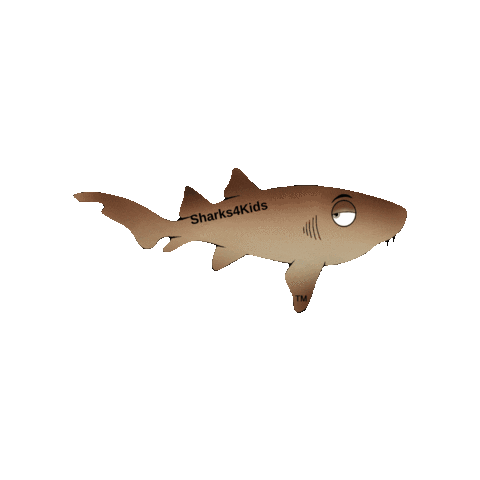 Sharks4Kids Sticker