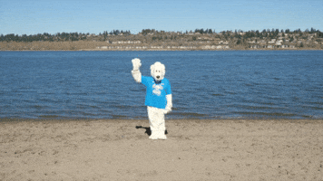 Polar Plunge GIF by Special Olympics Oregon