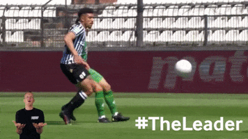 Football Soccer GIF by PAOK FC